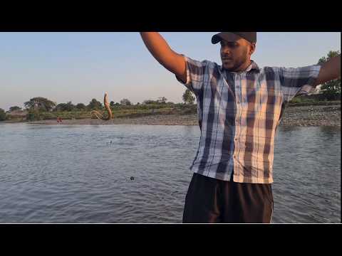 Ultimate Bam fish Hunting in Pakistan 2026 #fishing #fish