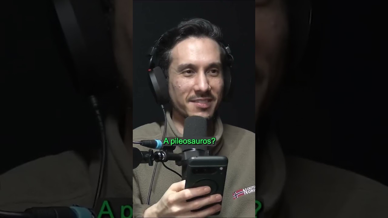 Dinosaur with piles ....