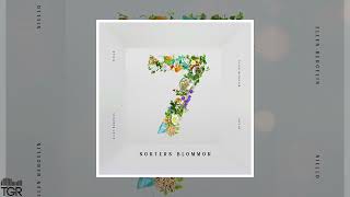 Ellen Bergelin & Niello - Sju sorters blommor [Official Audio] screenshot 5