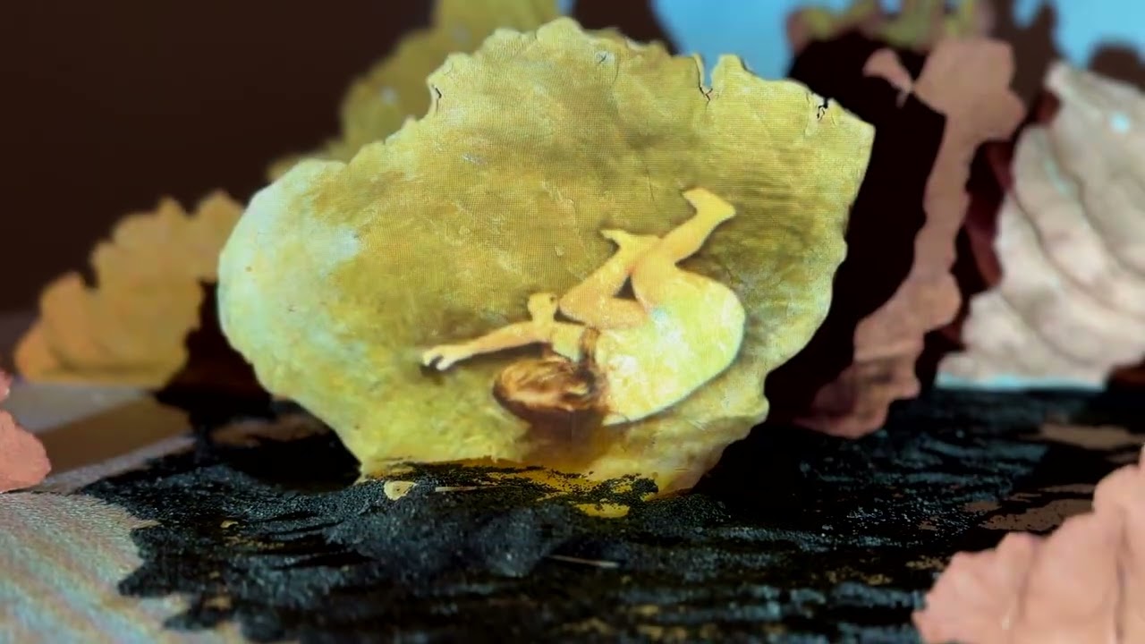 'Ambient Stones (sea egg)' installation by Clare Carter