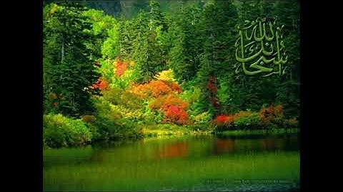 سورة الذاريات للشيخ محمد المحيسني