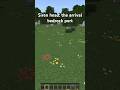 Siren head: the arrival bedrock port MCBE- MCPE #pntmc #mcbe #mcpemods #mcpe #minecraft #fypシ゚viral