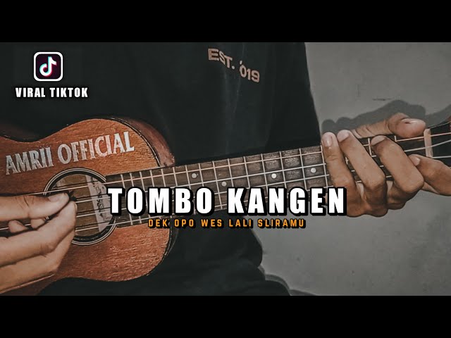 Mas Opo Wes Lali Sliramu Viral Tiktok ( TOMBO KANGEN ) Cover Ukulele By Amrii Official class=