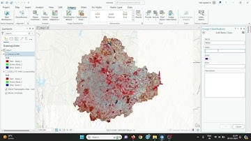 Image Classification