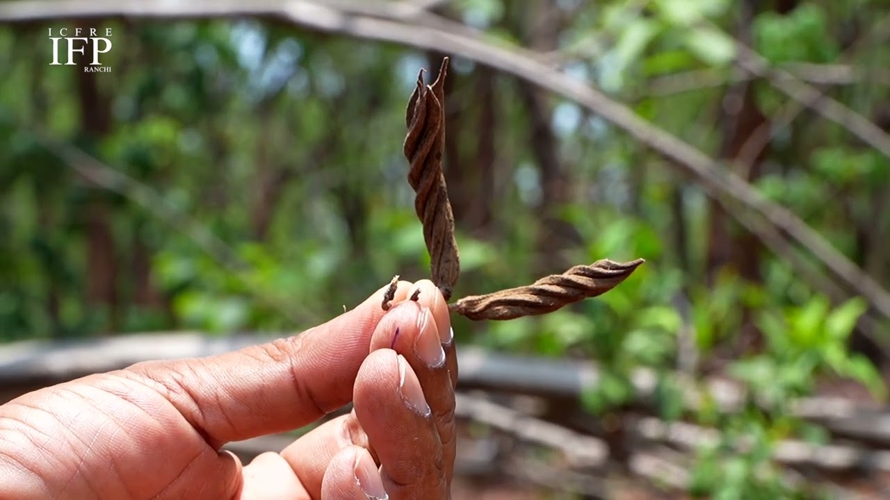 NATURE TRAIL EPISODE 04