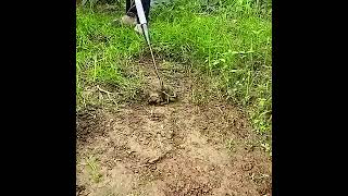 Cangkul Mini Berkebun Besi Alat Pacul Garuk Gali Rumput Tanah Kebun
