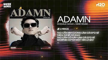 ADAMN REMIX - DONALD GOLD X NESS REMIX ♫ TAO CẦN KIM CƯƠNG LÀM CÁI Đ** GÌ THÍCH THÌ BÊ CẢ KHAY REMIX