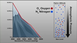 Why Olympians train in high altitude