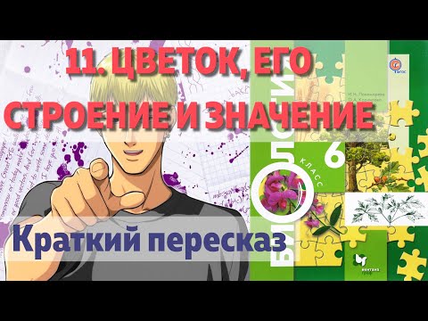 11. Цветок, его строение и значение. Биология. 6 класс - Пономарева. Краткий пересказ.