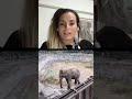 VIVO DE ELEPHANT'S HELPERS - PARTE I - desde Ecoparque Mendoza (11 de Agosto 2022) -