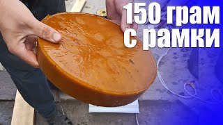 видео: Вытопка воска. Перетопка воска 150 грам с рамки. Воскопрес кулакова картинка: Вытопка воска. Перетопка воска 150 грам с рамки. Воскопрес кулакова