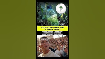 Amazon Fungus Eats Plastic ! | Nature