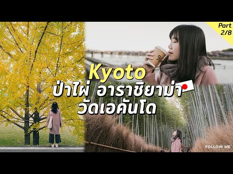 เกียวโต : จิบกาแฟ % Arabicaชิลๆที่ป่าไผ่อาราชิยาม่า | Osaka Kyoto EP. 2/8 | Follow me เที่ยวญี่ปุ่น