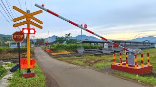 Simple New WANTECH Gate | 2 Unique KYOSAN Railway Crossings