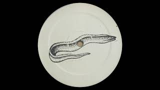 Tafkamp - Darkness Calling [PALING004]
