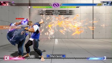 Ryu Punish Counter Combo