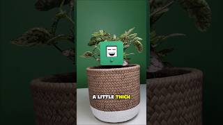 On To The Next Task - Day 68