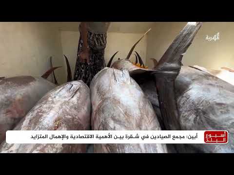 متنفس في المخا وزراعة العنب الأبيض في صنعاء | أسبوع البلد