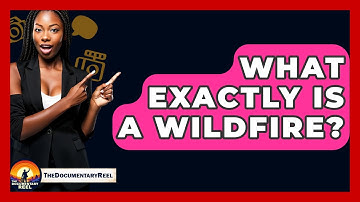 What Exactly Is A Wildfire? - The Documentary Reel