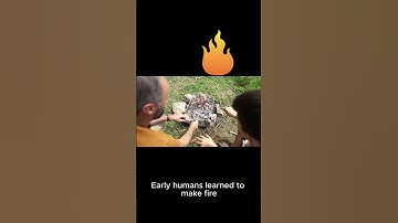 How Humans Became the Apex Predator #WhatHappensIf #Humans #Predator #Evolution #ScienceFacts