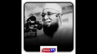 মুফতি নজরুল ইসলাম কাসেমী নতুন ওয়াজ । Mufti Nazrul Islam Kasemi । Alokito TV 2023