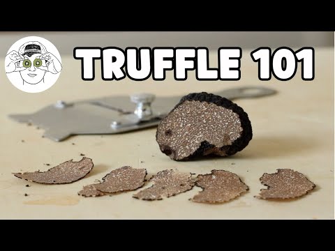 Video: Zwarte En Witte Truffels