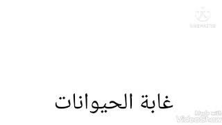 (هل تعلم ان ان النعامة تنام 15 دقيقة) تعرف على طريقة نوم ثلاثة من الحيوانات (الجزء الثاني)