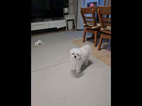 애기가 애기를 예뻐하는 중ㅎㅎㅎ