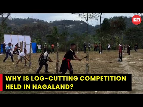 ผลสลากกินแบ่งรัฐบาล วันที่ 1 พย. 2567