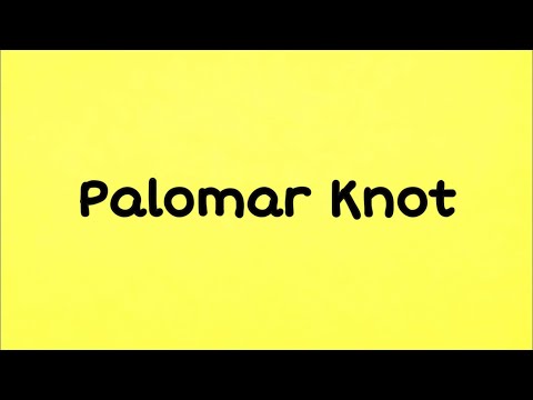 Как привязать рыболовный узел palomar knot | YouTube Shorts  #Shorts