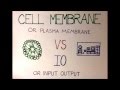 Cells and Computers: Exploring Their Similarities and Functions