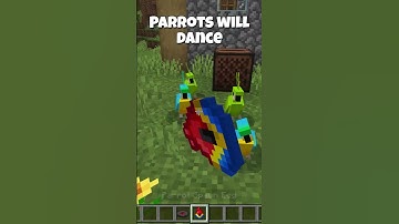 How to make parrots dance in minecraft
