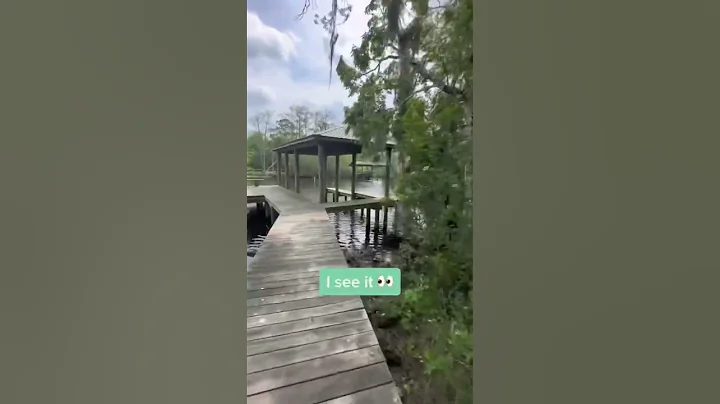 3 Acre Waterfront Lot For Sale in Florida 💧