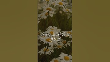 سورة البقرة    القارئ عبد الرحمن العولقي