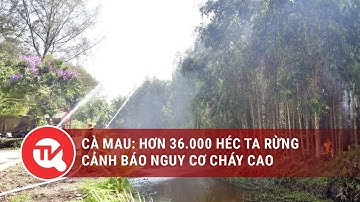 Cà Mau: Hơn 36.000 héc ta rừng có nguy cơ cháy cao | Truyền hình Quốc hội Việt Nam