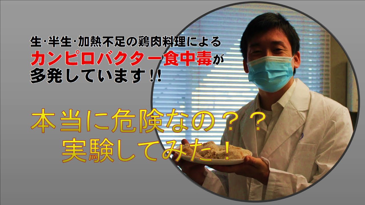 本当に危険なの 実験してみた 生 半生の鶏肉料理によるカンピロバクター食中毒が多発しています Youtube