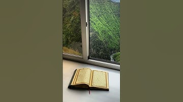 تلاوة مريحة على القلب #راحة_نفسية #محمد_اللحيدان #القرآن_الكريم #ارح_قلبك #quran #قرآن #اكسبلور
