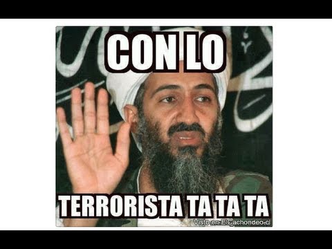 memes divertenti funnydog tv
