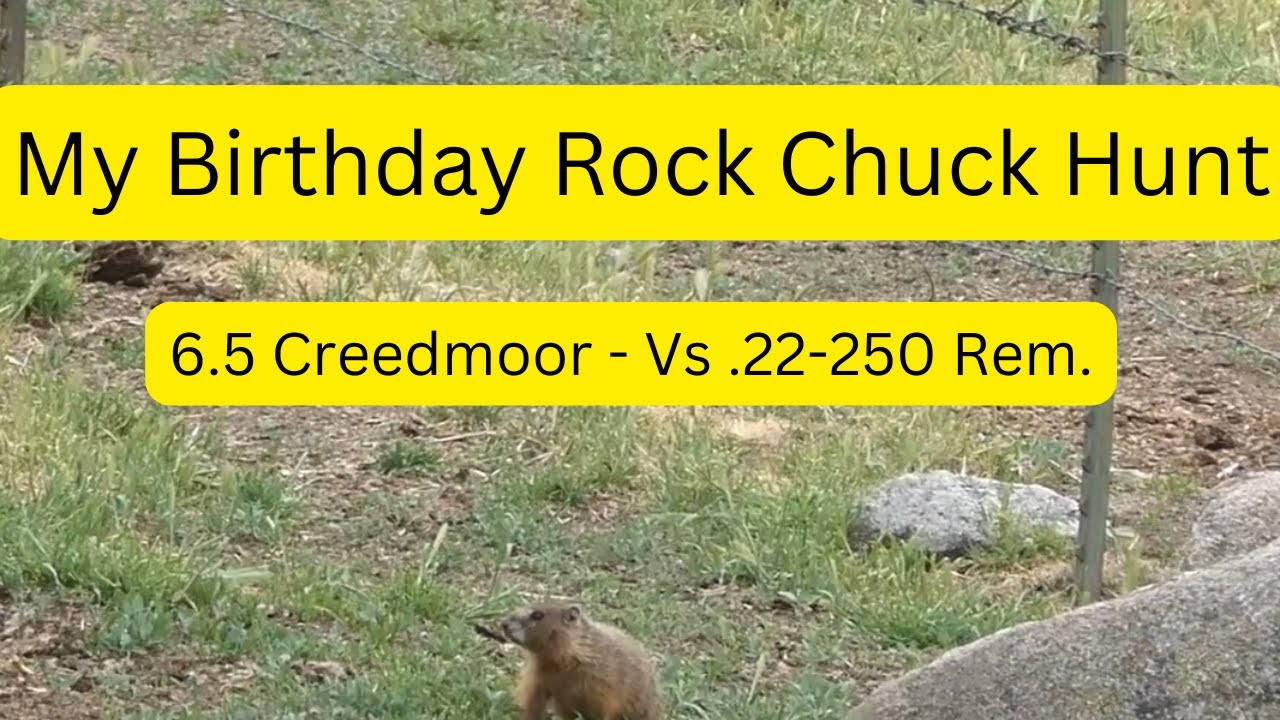 .22-250 Rem. vs 6.5 Creedmoor | My 70th Birthday Rock Chuck Hunt. 100 -  300 Yards.