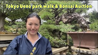 上野公園街歩き～盆栽オークション　Tokyo Ueno Park Walk & Bonsai Auction