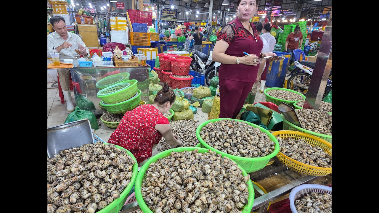chợ đầu tuần ích đồ quá vắng cá thu tuột hai da tươi xanh.