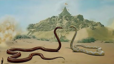 Tình Người Kiếp Rắn Nhí - Bela giết Viskana