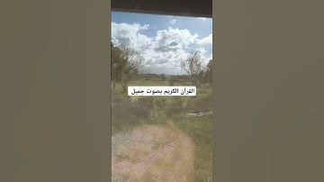 القرآن الكريم بصوت جميل #القران_الكريم #اكسبلور #تصويري #رمضانمبارك #تيك_توك #المصحف #دويتو