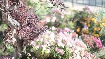 Fader ND on the Canon 7D by The Phoblographer