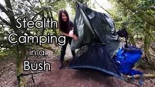 Stealth Camping In A Bush