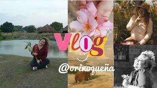 My #diary parte 1 #journaling #journalingforbeginners #journaltips #orinoqueña #youtubevideo