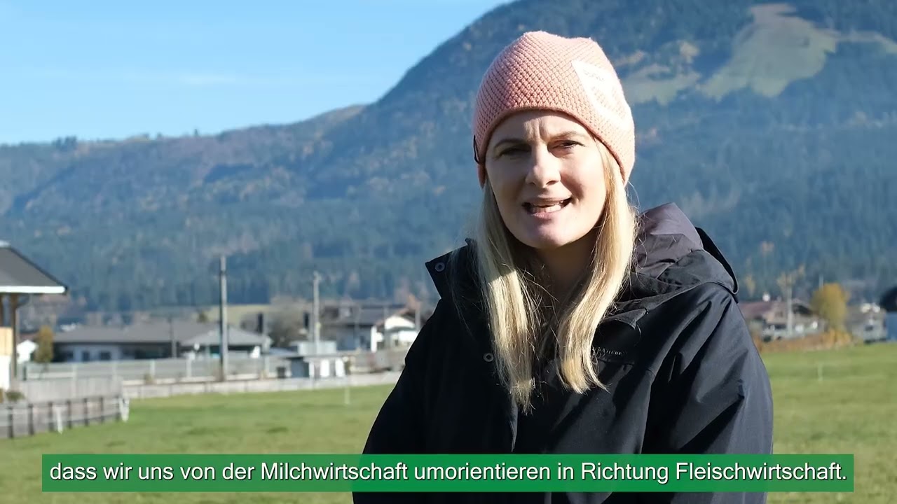 Galloway Rinder vom Baumooshof