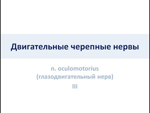 Двигательные черепные нервы.