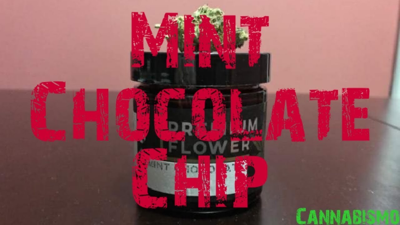 Donna Reviews "Mint Chocolate Chip" (Medical Marijuana) From Cannabismo