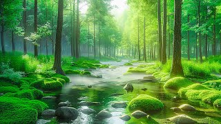 Soothing music for nerves🌿 healing music for heart and blood vessels, relaxation, music for soul #2